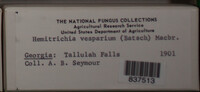 Image Associated With the Occurence